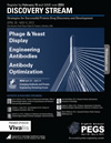 2012 PEGS Discovery Stream Brochure