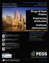 PEGS 2011 Discovery Stream Brochure