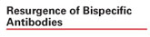 Bispecific Antibodies