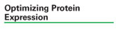 Optimizing Protein Expression