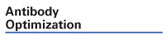 Antibody Optimization
