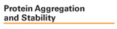Protein Aggregation and Stability