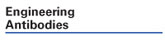 Engineering Antibodies