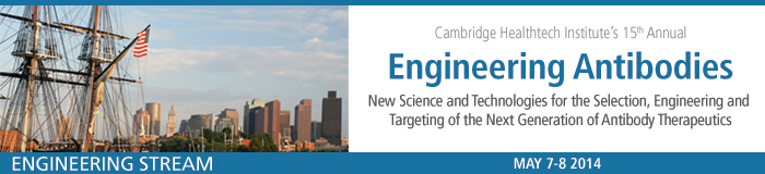 Engineering Antibodies Engineering Antibodies