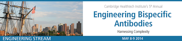 Engineering Bispecific Antibodies Engineering Bispecific Antibodies