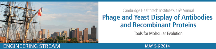 Phage and Yeast Display of Antibodies and Recombinant Proteins Phage and Yeast Display of Antibodies and Recombinant Proteins