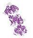 Biotherapeutic Targets