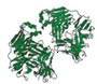 Engineering Antibodies