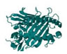 Immunogenicity of Therapeutic Biologics