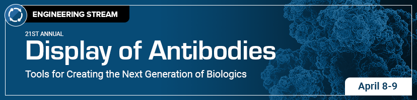 Display of Antibodies