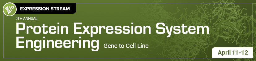 Protein Expression System Engineering