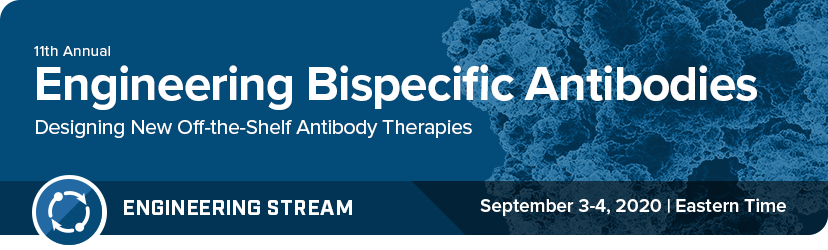 Engineering Bispecific Antibodies