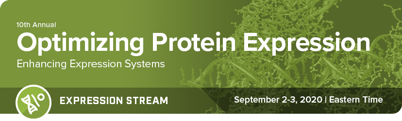 Optimizing Protein Expression