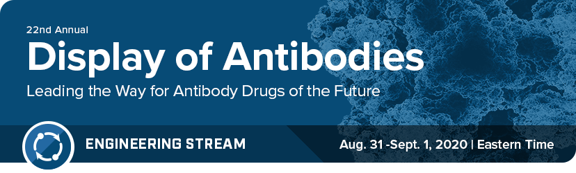 Display of Antibodies
