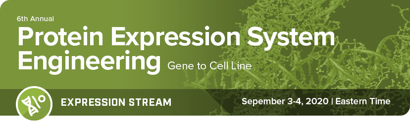 Protein Expression System Engineering