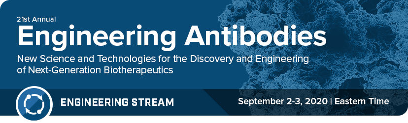 Engineering Antibodies