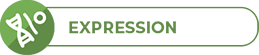 Expression